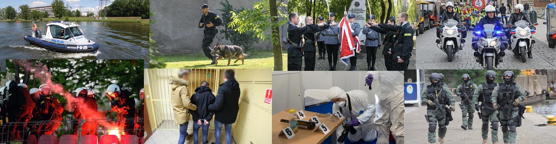 Pracujemy z pasją